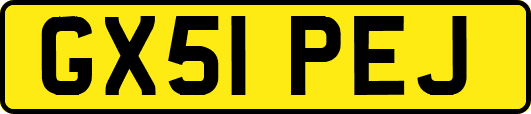 GX51PEJ