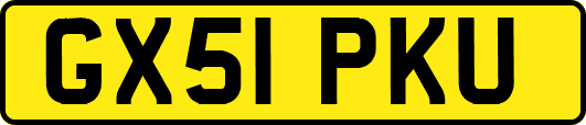 GX51PKU