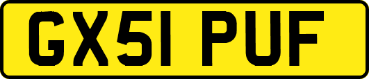 GX51PUF