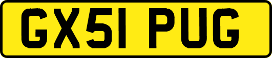GX51PUG