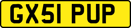GX51PUP