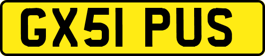GX51PUS