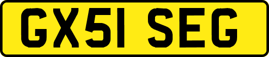 GX51SEG