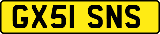 GX51SNS