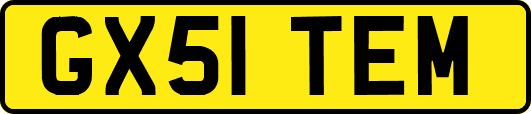 GX51TEM