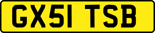 GX51TSB