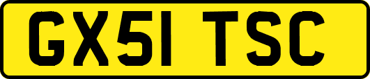 GX51TSC