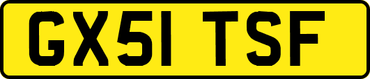 GX51TSF
