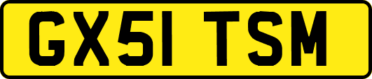 GX51TSM