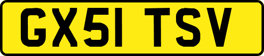 GX51TSV