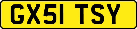 GX51TSY