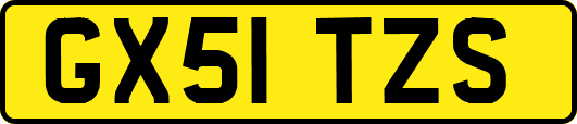 GX51TZS