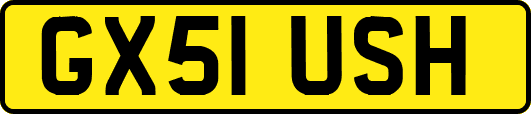 GX51USH