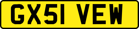 GX51VEW