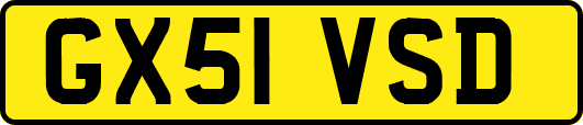 GX51VSD