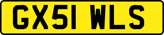 GX51WLS