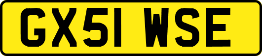 GX51WSE