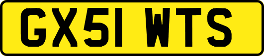 GX51WTS