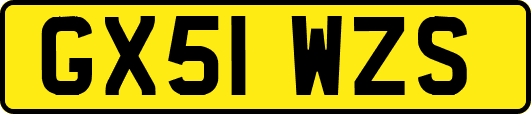 GX51WZS