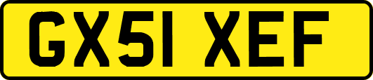 GX51XEF