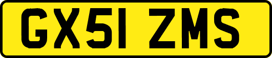 GX51ZMS