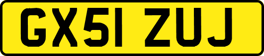 GX51ZUJ