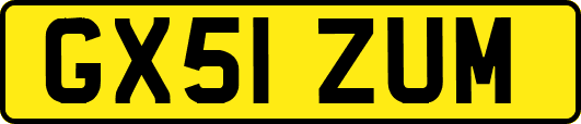 GX51ZUM