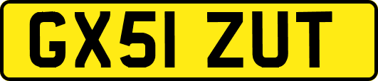 GX51ZUT