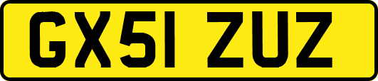 GX51ZUZ