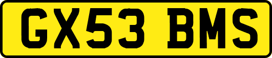 GX53BMS