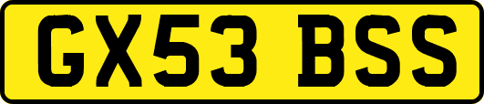 GX53BSS