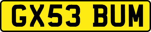 GX53BUM