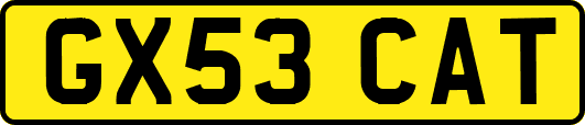 GX53CAT