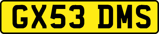 GX53DMS