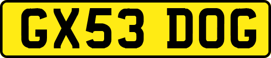 GX53DOG