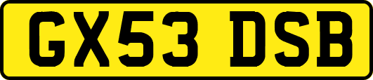 GX53DSB