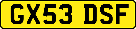 GX53DSF