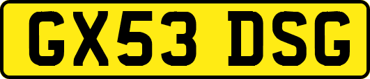 GX53DSG