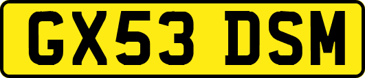GX53DSM