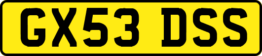 GX53DSS