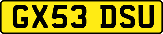 GX53DSU
