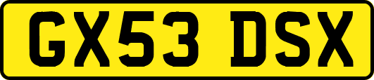 GX53DSX
