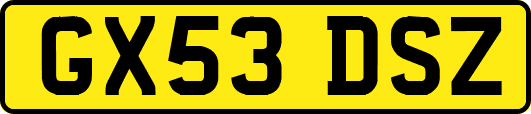 GX53DSZ