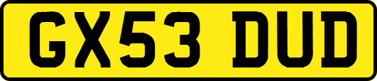 GX53DUD