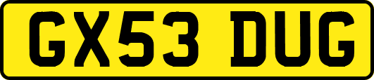 GX53DUG