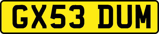 GX53DUM
