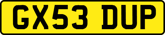 GX53DUP