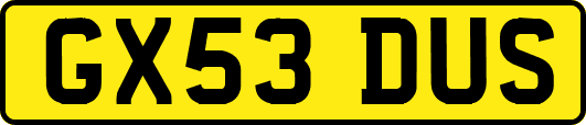 GX53DUS