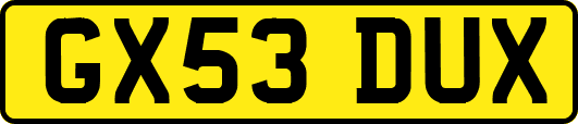 GX53DUX