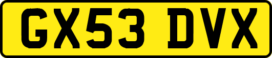 GX53DVX